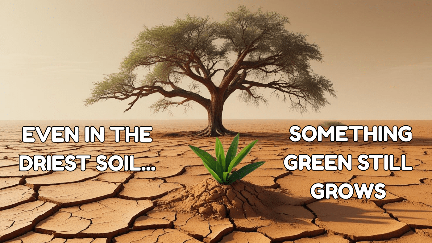 A small green plant sprouting from cracked, dry desert soil beneath a large tree, symbolizing hope and resilience with the text 'Even in the driest soil, something green still grows'. Overcoming anxiety and depression is always possible.